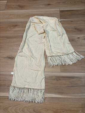 Basha 100% Silk Thick Paisley Pattern Scarf with Fringe